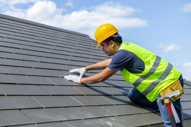 Best Local Roofing Companies  in Eaton Rapids, MI