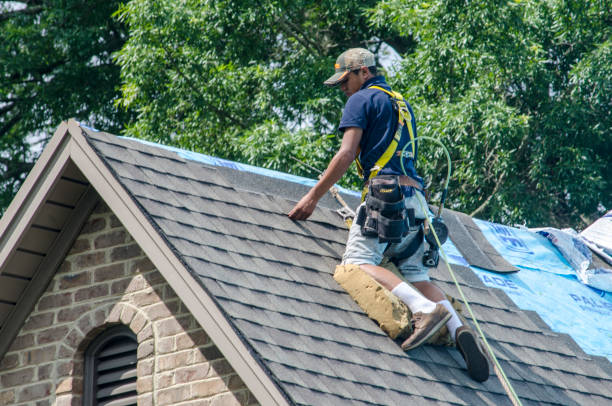Best Roof Repair Services  in Eaton Rapids, MI